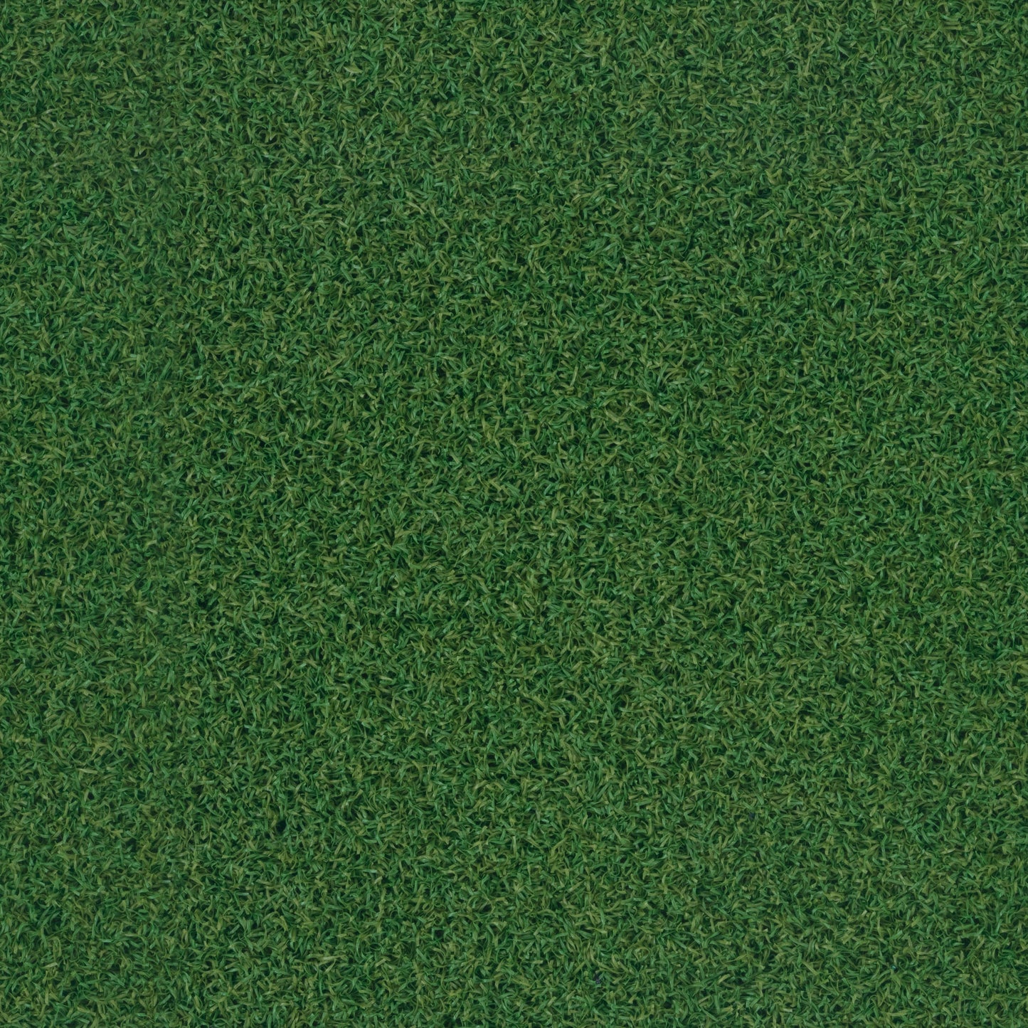 Artificial Training Turf – Indoor Gym Turf for Sled Push & Sprint Training – Indoor ST